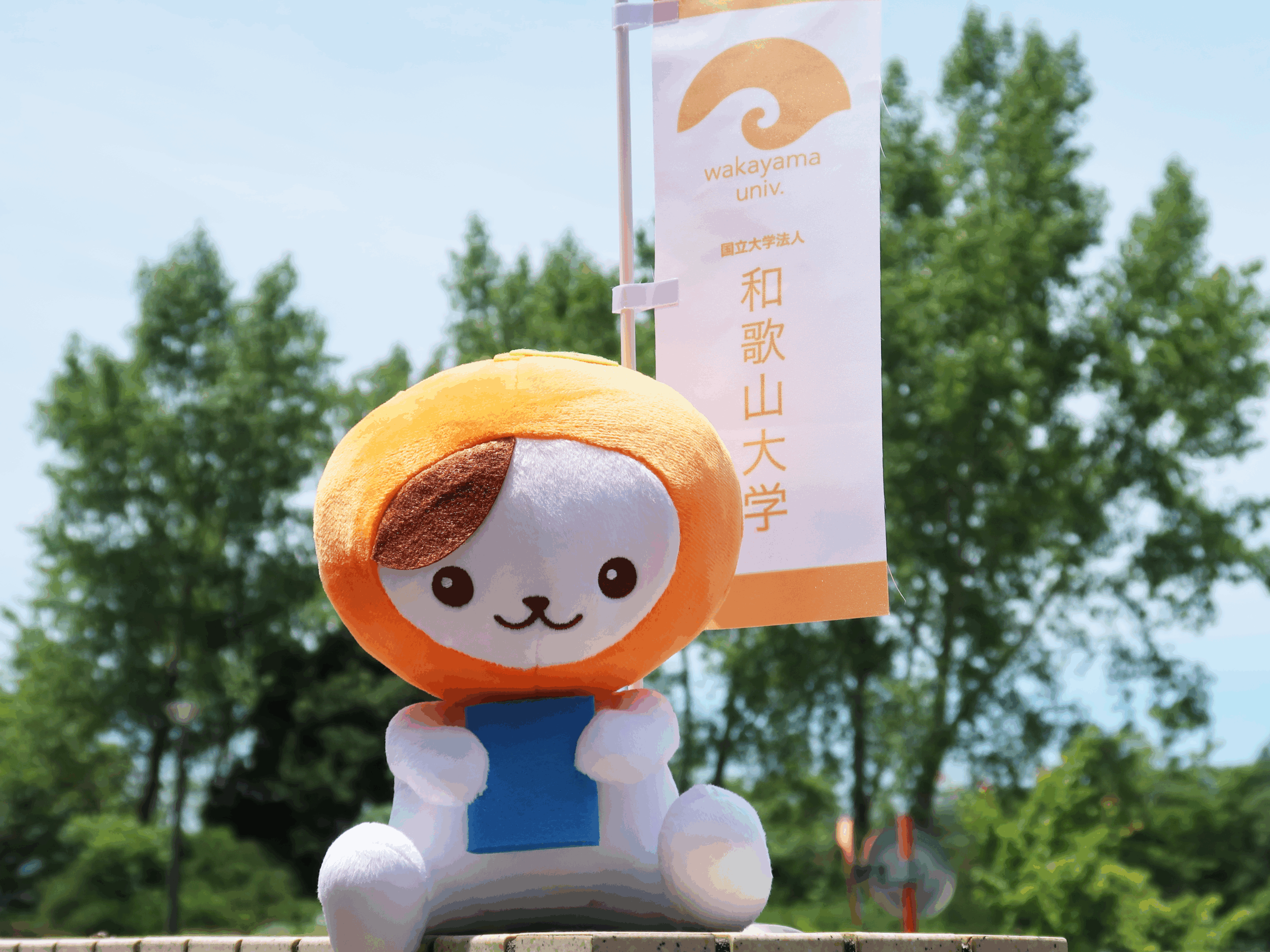 和歌山大学マスコットキャラクター「わだにゃん」